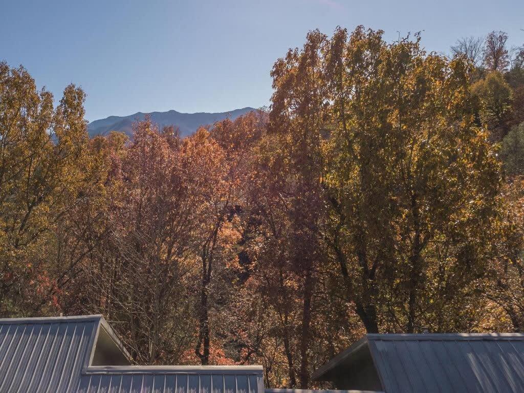 Sasquatch Lodge E Sleeps 13 Gatlinburg Buitenkant foto